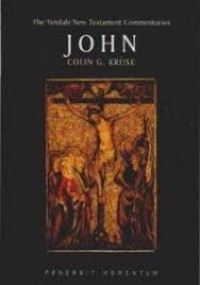Image of John : The Tyndale New Testament Commentaries